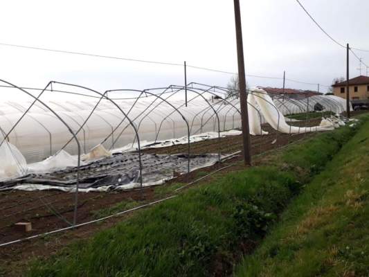 danni in agricoltura a causa del maltempo