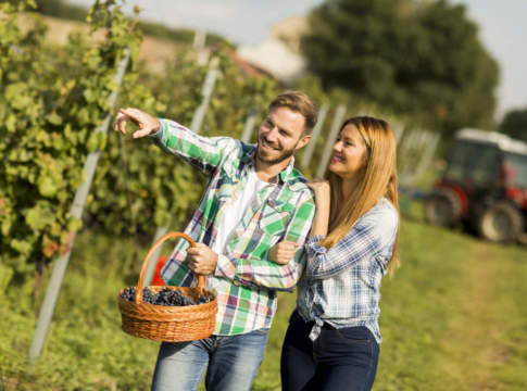 Crea: «Positivo il Pacchetto giovani Marche»