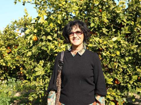 arance rosse e distretto agrumi di sicilia