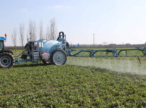 ideal e la difesa dei cereali