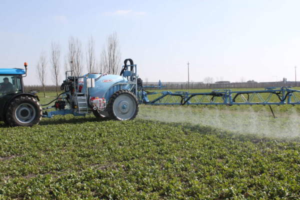 ideal e la difesa dei cereali