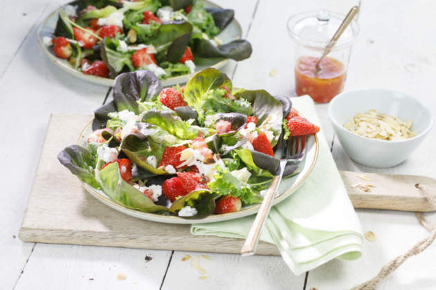 partnership rijk zwaan italia e APCI giro d&rsquo;italia 2019