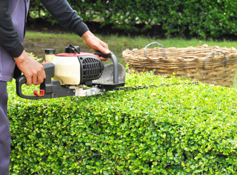 Macchine e attrezzature per il verde, mercato in ripresa nel 2018 macchine per il giardinaggio
