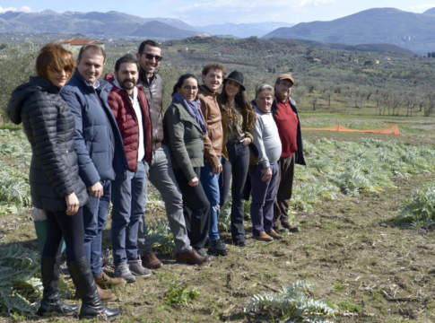 Carciofo bianco del Tanagro, ecco gli obiettivi della rete dei produttori