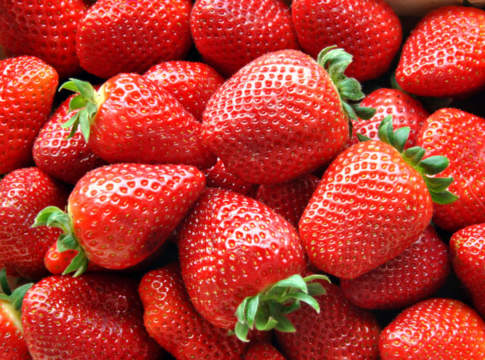 Prime quotazioni per le fragole bio del Nord Italia fragole bio