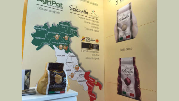 patata selenella rosè