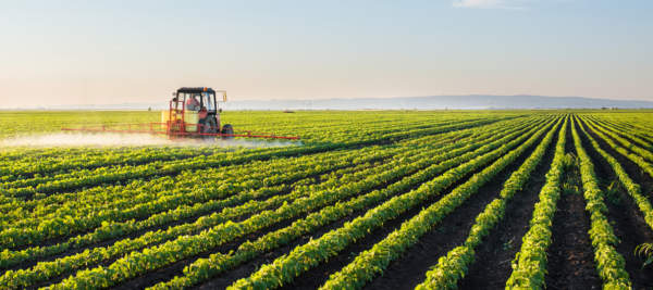 consorzio agrario del friuli