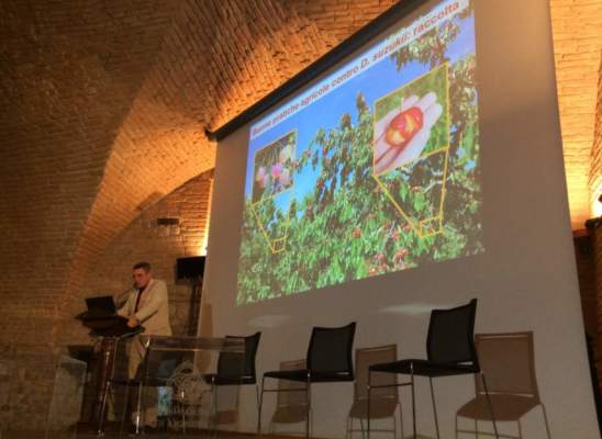 ics 2019 e il futuro del ciliegio