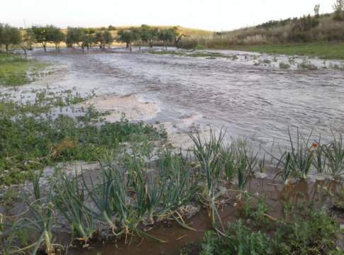 consorzi di bonifica inattivi