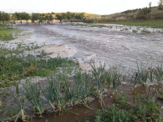 consorzi di bonifica inattivi
