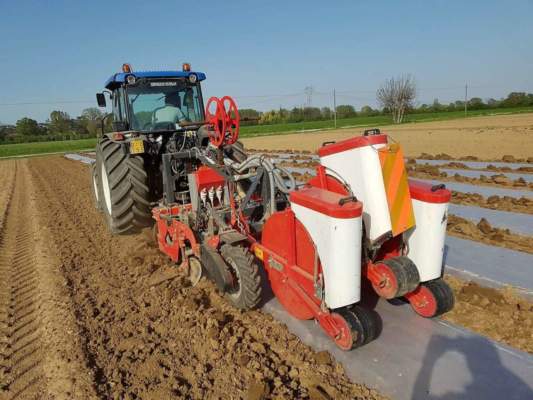 innovazione e sostenibilità mais