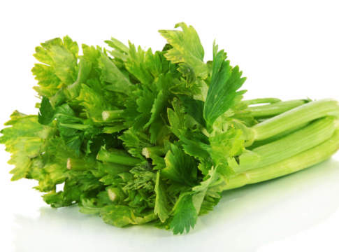 sedano verde biologico