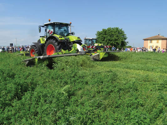 nova fienagione 2019