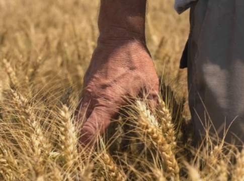 Carta del Mulino, Barilla già oltre gli obiettivi