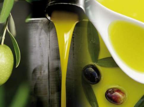 raccolta delle olive
