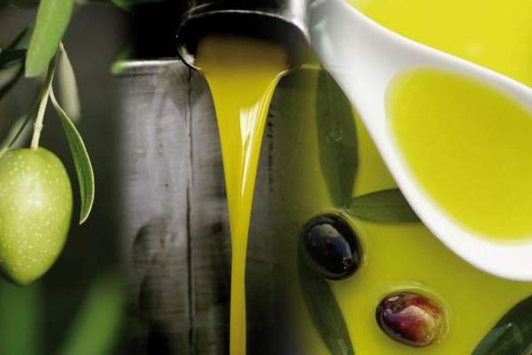 raccolta delle olive