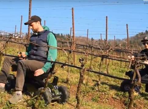 Rocky, guardia alta tra i filari