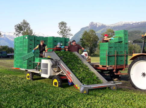 falciaraccoglitrice FR60 di De Preti