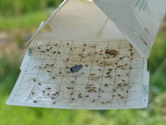 monitoraggio efficacia trattamenti