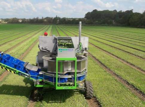 Ventum, nuova raccoglitrice per la quarta gamma di Hortech raccoglitriche di quarta gamma Ventum di Hortech