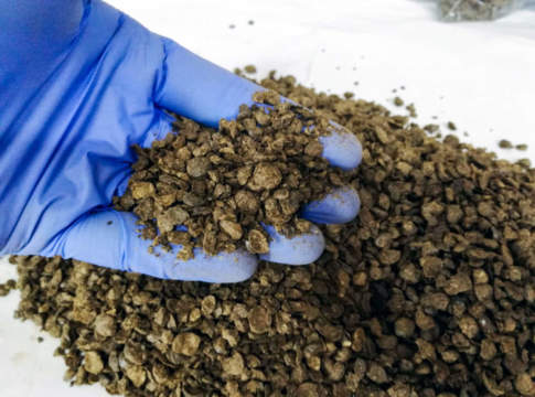 FertilEspresso in grani