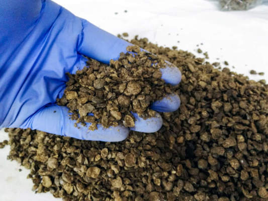 FertilEspresso in grani