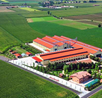 filiere biologiche semi