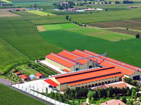 filiere biologiche semi