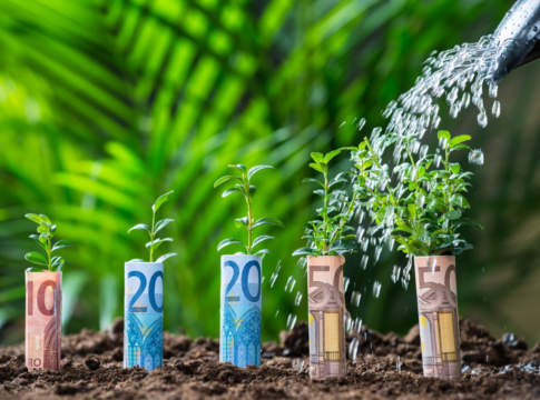 L’agricoltura italiana è quarta in Europa per reddito famigliare