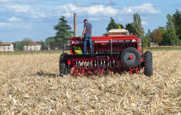 cover crop agroecologiche crpa