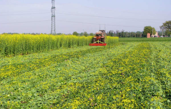 utilizzo di roller crimper