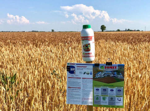 Cereali, la concimazione secondo Fomet