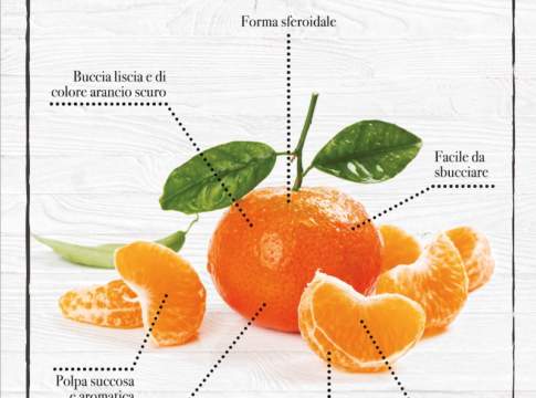 Clementine italiane, al via la campagna promo dell’Interprofessione