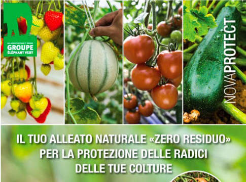 Il biofungicida Tusal arriva anche in Italia biofungida Tusal