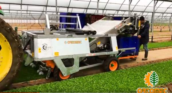 raccoglitrice Magic Mache di Ortomec