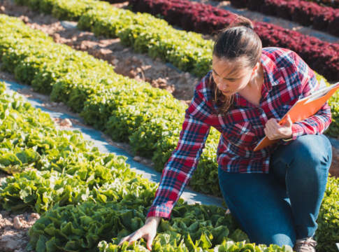 Contratto nazionale degli impiegati agricoli: rinnovo con aumento del 2% periti agrari