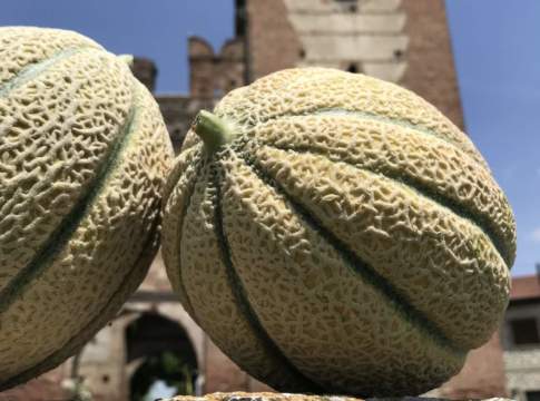 Meloni e angurie, Ortofrutta Castello apre a Seminis meloni
