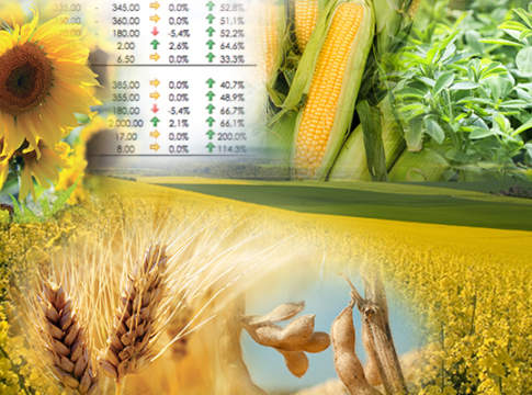 Soia e colza, prezzi in aumento sulla scia dei rialzi esteri soia e colza