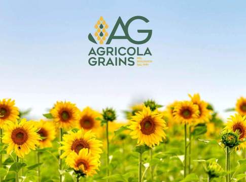 Giovani agricoltori bio e innovativi cercansi