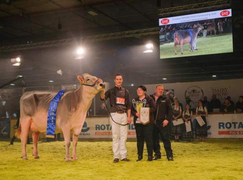 Confronto razza Bruna, a Fieragricola trionfa un allevatore svizzero razza Bruna