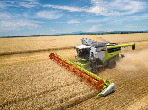 Frumento: “In Emilia-Romagna rese in crescita del 20%” frumento