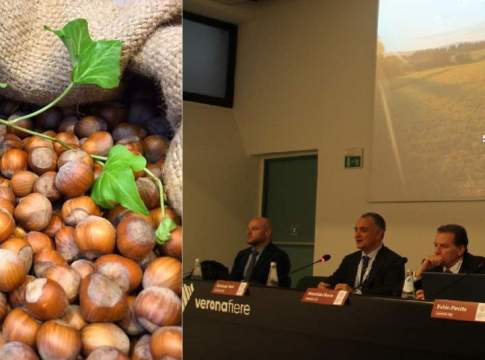 Il progetto nocciola Italia si espande a Nord e a Sud