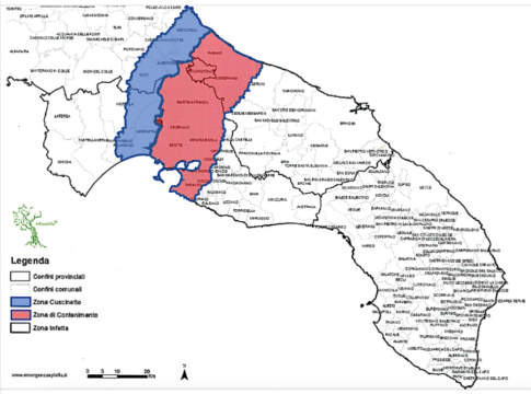 Xylella monitoraggio