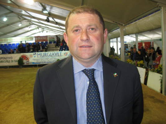 Coronavirus latte bovino