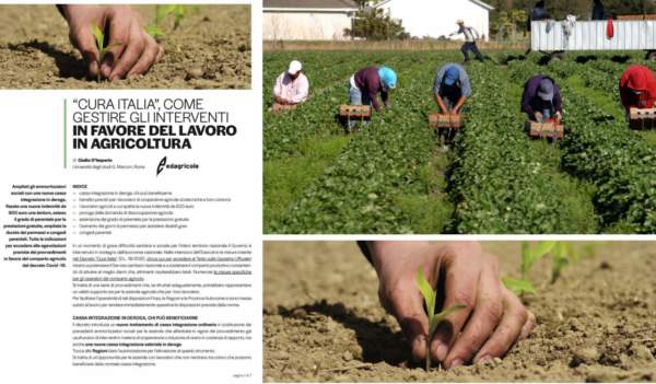 cura italia-la guida