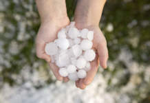 cambiamento climatico