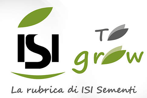 isi to grow logo della rubrica