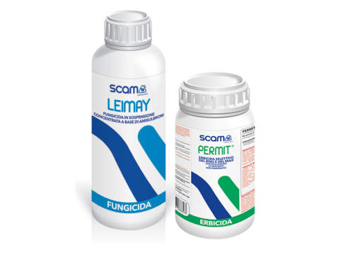 Leimay e Permit di Scam