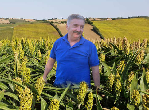 sorgo rv venturoli