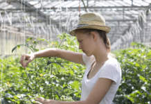 Esonero contributivo Inps per under 40, come fare